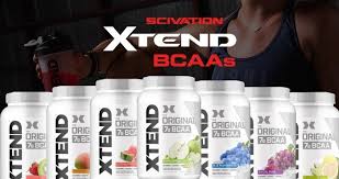 scivation xtend bcaa powder uses and