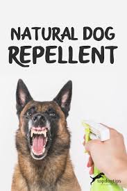 natural dog repellent ings and