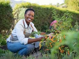 Garden care doesn't have to take up all your spare time. What Is A Victory Garden Learn How To Start A Victory Garden