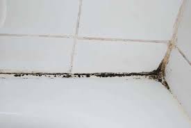 how to remove mold from shower caulking