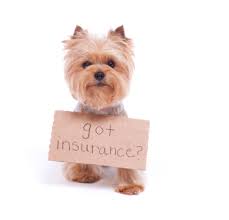 Multiple quotes with one application. What Does It Mean For A Pet Sitter Or Dog Walker To Be Insured And Bonded