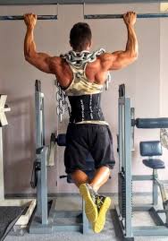Pull Up Muscles Which Muscles Are Used For Pull Ups