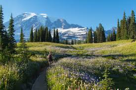 21 best hikes in washington state