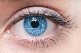 Blauw, bruin, grijs of groen? Jouw ogen bekennen kleur! - Pearle Opticiens  Blog