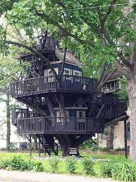 Pictures Of Tree Houses And Play Houses
