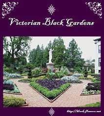 Black Garden Goth Garden Victorian Garden