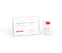 For this purpose the specialized enzyme reverse. Qpcrbio Cdna Synthesis Kit Pcr Biosystems