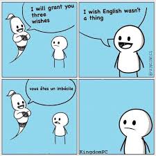 I view wish.com like i view every other online buying outlet. Will Grant You Three I Wish English Wasn T A Thing Paincomics Vous Tes Un Imbcile Memes Video Gifs Vous Memes Etes Memes Imbecile Memes Will Memes Grant Memes Three