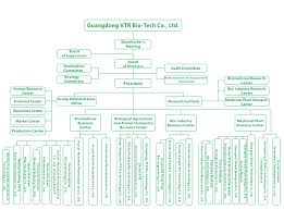 Company Organization Chart Guangdong Vtr Bio Tech Bio Tech
