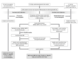 Decision Memo For Screening For Colorectal Cancer Stool