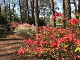 An Overnight Stay At Callaway Gardens