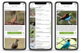Merlin offers quick identification help for all levels of bird watchers to learn about the birds across the americas, europe, asia, africa and oceania. Merlin Bird Id Free Instant Bird Identification Help And Guide For Thousands Of Birds