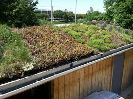 How To Build A Green Roof On A Shed