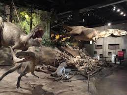 tickets tours royal tyrrell museum