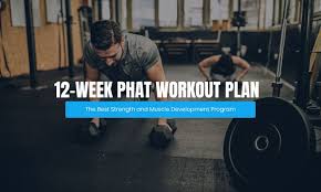 12 week phat workout routine for