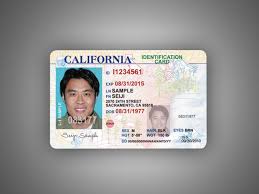 28 states use outdated driver s license