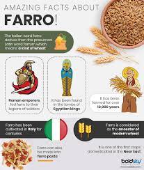 6 fascinating health benefits of farro