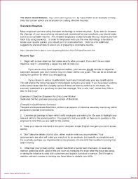 Resume Small Business Owner Resume