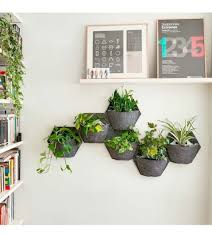 wall planter with air purifying plants