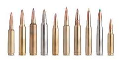 The Top 10 Rifle Cartridges for North American Big Game ...