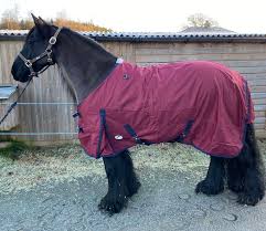 um weight turnout rugs for horses