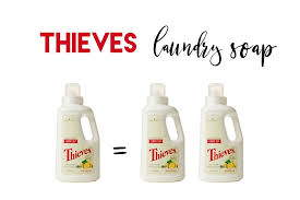 How To Double Your Thieves Laundry Soap Leslie Burris