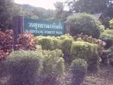 วนอุทยานผาหินตั้ง Pha Hin Tang Forest Park