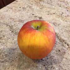 small honeycrisp apple and nutrition facts