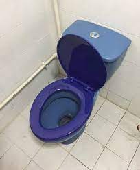 Replace Toilet Singapore Reliable Wc