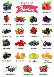 Arándanos El Oasis - Aun cuando todas las bayas (berries) son ricas en  vitaminas y antioxidantes, el Blueberry destaca por la cantidad de  beneficios para la salud. Algunas personas confunden el Blueberry (
