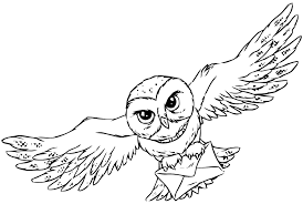 Learn to draw harry potter dessins faciles dessin harry potter. Coloriage Harry Potter Color