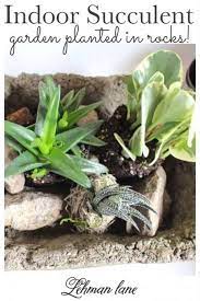 Diy Easy Indoor Succulent Garden Ideas