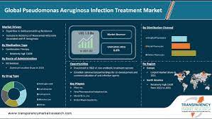 pseudomonas aeruginosa infection