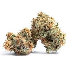 It can be used in the development of biotechnologies for the . Gelato 41 Weed Strain Information Leafly