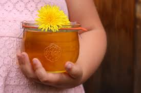 dandelion honey recipe from flowers