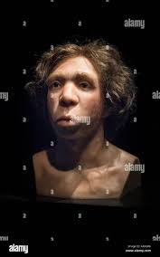 Neanderthal Man High Resolution Stock Photography and Images - Alamy