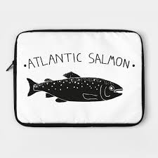 Atlantic Salmon By Ardito