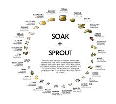 Sprouting Chart Interesting Articles Or Blog Posts How
