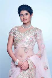 Beauty Galore HD : Ashima Narwal Navel Beauty Hot Saree Photos