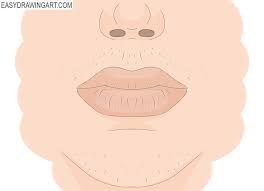 how to draw a nose and mouth easy