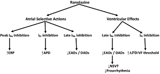 A Flow Chart Indicating The Mechanisms Of Antiarrhythmic