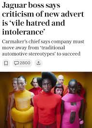 Jaguar's latest ad has sparked a lot of debate. Is this a forward-thinking strategy, or are they alienating their customers? What are your thoughts? : r/ProfessorFinance