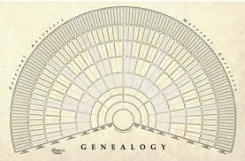 Blank Wall Chart Treeseek Genealogy Fan Large Fillable Pedigree Form For 636156943467