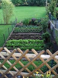 small vegetable gardens