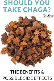 chaga benefits possible side effects