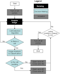 Flow Chart Of The Sorting Algorithm Download Scientific