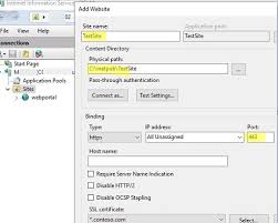in iis with same port and ip address