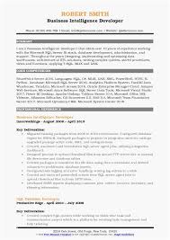 29 Most Popular Business Intelligence Resume For Each Type