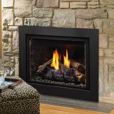 Natural Gas Fireplace Insert Ipi