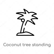 The coconut tree (cocos nucifera) is a member of the palm tree family and the only living species of the genus cocos. Outline Coconut Tree Standing Vector Icon Isolated Black Simple Line Element Illustration From Nature Concept Editable Vector Stroke Coconut Tree Standing Icon On White Background Premium Vector In Adobe Illustrator Ai